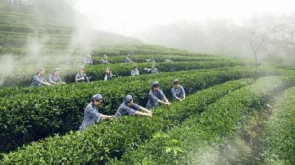 深圳东部华侨城 深圳东部华侨城