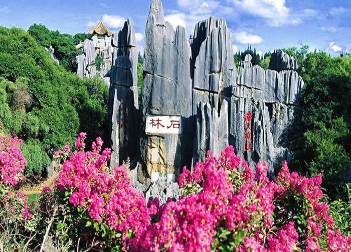 石林|大理|丽江|西双版纳9日