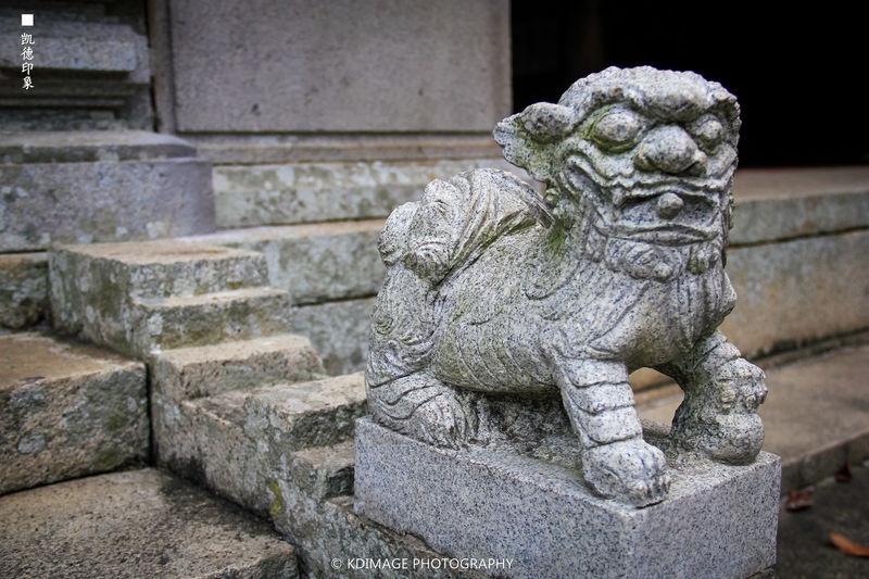 私藏自驾美食之旅：珠三角粤美味