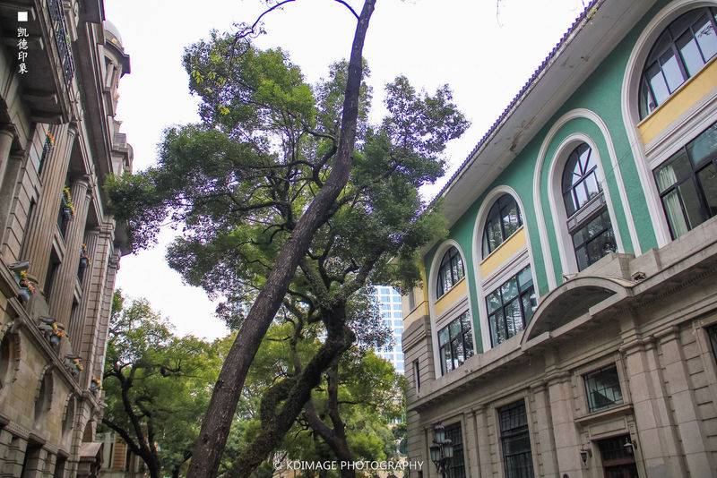 私藏自驾美食之旅：珠三角粤美味