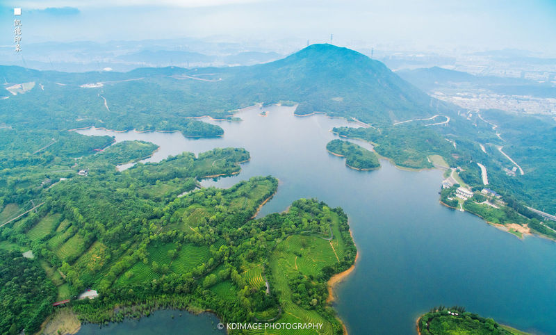 私藏自驾美食之旅：珠三角粤美味