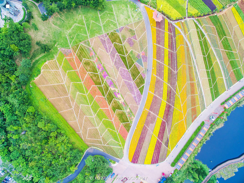 私藏自驾美食之旅：珠三角粤美味