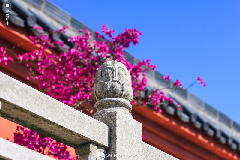 私藏自驾美食之旅：珠三角粤美味