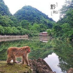 贵州旅游“美食景点”介绍