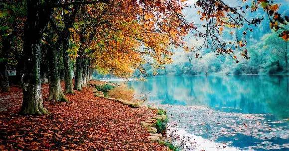 贵州旅游“美食景点”介绍