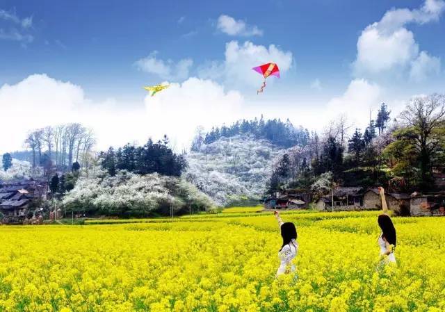 贵州旅游“美食景点”介绍