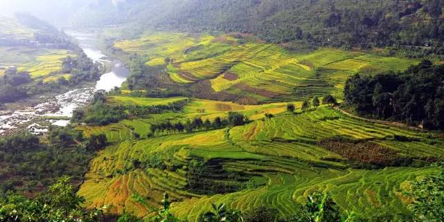贵州旅游“美食景点”介绍