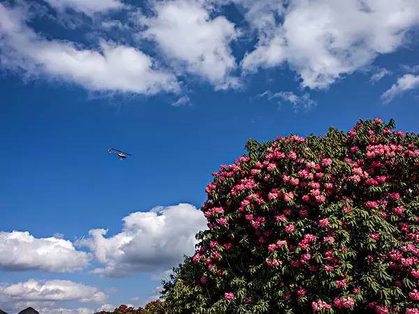 贵州旅游“美食景点”介绍