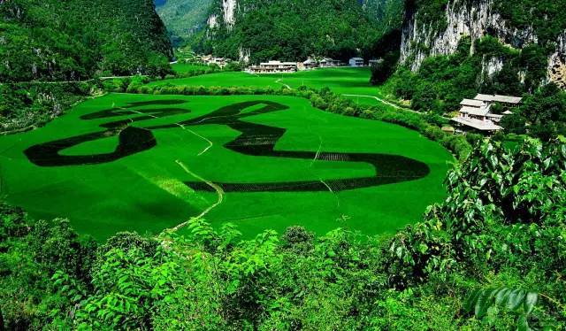 贵州旅游“美食景点”介绍