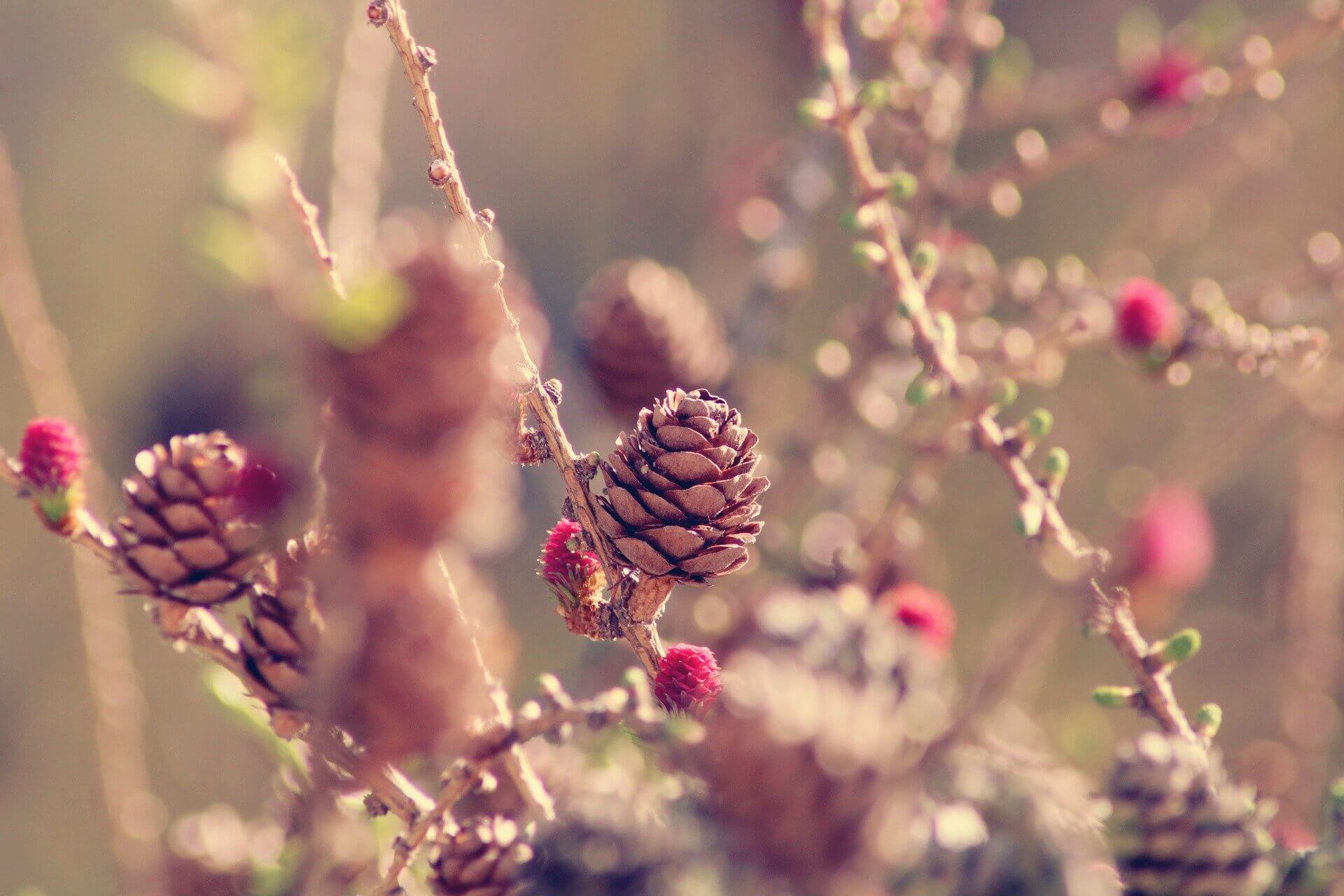 70旅游网试上线